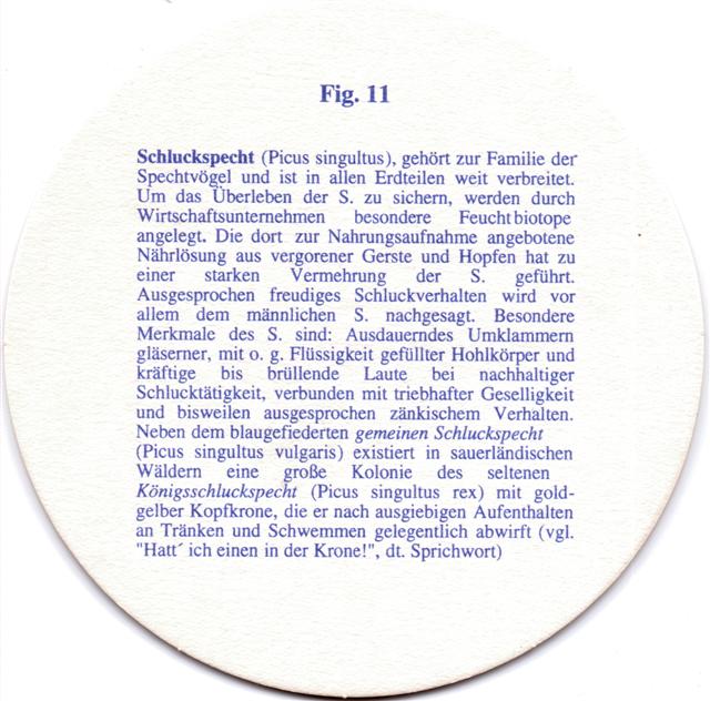 marsberg hsk-nw ritzenhoff 22b (rund215-fig 11-blau)